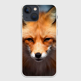 Чехол для iPhone 13 mini с принтом Хитрая лисица в Курске,  |  | fox | foxy | животное | звери | лиса | лисенок | лисичка | милая | рыжая | фокс