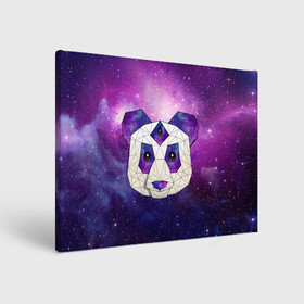 Холст прямоугольный с принтом КОСМО-ПАНДА в Курске, 100% ПВХ |  | animal | bear | cosmo | geometry | night | panda | sky | stars | universe | геометрия | голова | животные | звезды | космос | медведь | мило | неон | ночь | панда