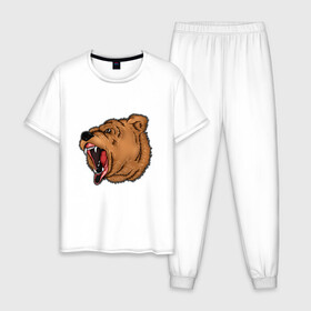 Мужская пижама хлопок с принтом Медведь в Курске, 100% хлопок | брюки и футболка прямого кроя, без карманов, на брюках мягкая резинка на поясе и по низу штанин
 | бурый | животное | зверь | медведь | рык | свирепый