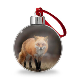 Ёлочный шар с принтом Хитрая лисица в Курске, Пластик | Диаметр: 77 мм | fox | foxy | животное | звери | лиса | лисенок | лисичка | милая | рыжая | фокс