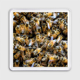 Магнит 55*55 с принтом Пчёлы в Курске, Пластик | Размер: 65*65 мм; Размер печати: 55*55 мм | живность | животное | животные | насекомое | насекомые | пчела | пчёлка | пчёлки | пчёлы