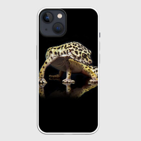 Чехол для iPhone 13 с принтом ЭУБЛЕФАР  EUBLEPHARIS в Курске,  |  | tegunvteg | геккон | гекон | зублефар | леопардовый геккон | эу | эублефар | ящерица