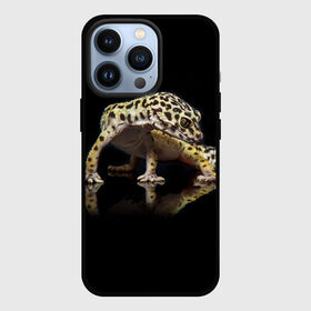 Чехол для iPhone 13 Pro с принтом ЭУБЛЕФАР  EUBLEPHARIS в Курске,  |  | tegunvteg | геккон | гекон | зублефар | леопардовый геккон | эу | эублефар | ящерица