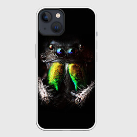 Чехол для iPhone 13 с принтом ПАУК МАКРО СЪЕМКА в Курске,  |  | tegunvteg | глаза | животные | насекомые | паук | природа