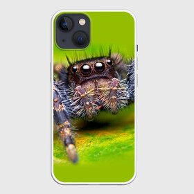 Чехол для iPhone 13 с принтом ПАУК МАКРО в Курске,  |  | tegunvteg | глаза | животные | макро | насекомые | паук | природа