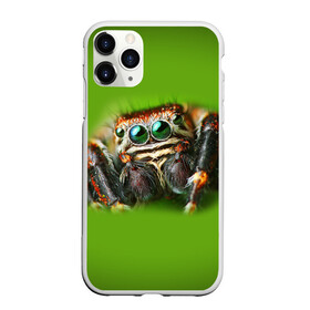 Чехол для iPhone 11 Pro матовый с принтом ПАУК ВБЛИЗИ в Курске, Силикон |  | tegunvteg | глаза | животные | макро | насекомые | паук | природа