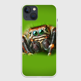 Чехол для iPhone 13 с принтом ПАУК ВБЛИЗИ в Курске,  |  | tegunvteg | глаза | животные | макро | насекомые | паук | природа