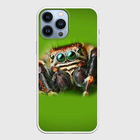 Чехол для iPhone 13 Pro Max с принтом ПАУК ВБЛИЗИ в Курске,  |  | Тематика изображения на принте: tegunvteg | глаза | животные | макро | насекомые | паук | природа