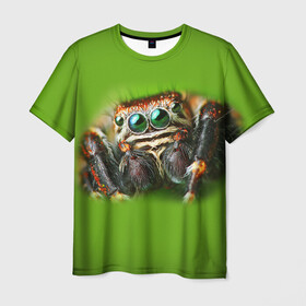 Мужская футболка 3D с принтом ПАУК ВБЛИЗИ в Курске, 100% полиэфир | прямой крой, круглый вырез горловины, длина до линии бедер | tegunvteg | глаза | животные | макро | насекомые | паук | природа