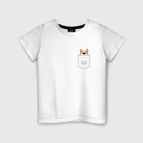 Детская футболка хлопок с принтом Корги в кармане_01 в Курске, 100% хлопок | круглый вырез горловины, полуприлегающий силуэт, длина до линии бедер | corgi | dog | вельш корги | карман | корги | коржик | собака