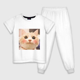 Детская пижама хлопок с принтом Мем про котов в Курске, 100% хлопок |  брюки и футболка прямого кроя, без карманов, на брюках мягкая резинка на поясе и по низу штанин
 | белый | кот | мем | милый | прикол