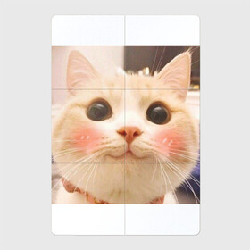 Магнитный плакат 2Х3 с принтом Мем про котов в Курске, Полимерный материал с магнитным слоем | 6 деталей размером 9*9 см | белый | кот | мем | милый | прикол