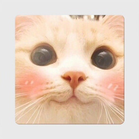 Магнит виниловый Квадрат с принтом Мем про котов в Курске, полимерный материал с магнитным слоем | размер 9*9 см, закругленные углы | белый | кот | мем | милый | прикол