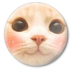 Значок с принтом Мем про котов в Курске,  металл | круглая форма, металлическая застежка в виде булавки | Тематика изображения на принте: белый | кот | мем | милый | прикол