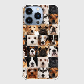 Чехол для iPhone 13 Pro с принтом Я ЛЮБЛЮ СОБАК   I LOVE DOGS в Курске,  |  | collage dogs | dogs | i love dogs | домашние животные | друзья наши младшие | коллаж | собаки | собачки. | я люблю собак