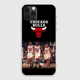 Чехол для iPhone 12 Pro Max с принтом CHICAGO BULLS [3] в Курске, Силикон |  | basketball | bulls | chicago | chicago bulls | jordan | nba | баскетбол | джордан | нба | чикаго буллз