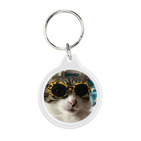 Брелок круглый с принтом Мем про кота в Курске, пластик и полированная сталь | круглая форма, металлическое крепление в виде кольца | Тематика изображения на принте: в очках | киса селфи | кот | мем | милый | прикол