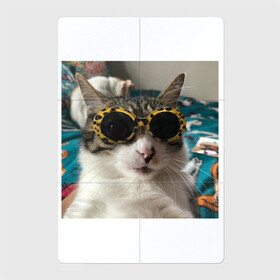 Магнитный плакат 2Х3 с принтом Мем про кота в Курске, Полимерный материал с магнитным слоем | 6 деталей размером 9*9 см | в очках | киса селфи | кот | мем | милый | прикол