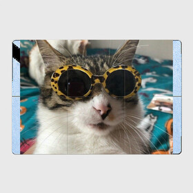 Магнитный плакат 3Х2 с принтом Мем про кота в Курске, Полимерный материал с магнитным слоем | 6 деталей размером 9*9 см | в очках | киса селфи | кот | мем | милый | прикол