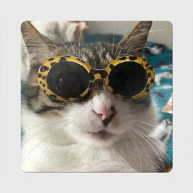 Магнит виниловый Квадрат с принтом Мем про кота в Курске, полимерный материал с магнитным слоем | размер 9*9 см, закругленные углы | в очках | киса селфи | кот | мем | милый | прикол