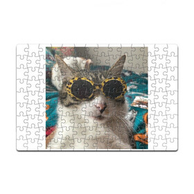 Головоломка Пазл магнитный 126 элементов с принтом Мем про кота в Курске, полимерный материал с магнитным слоем | 126 деталей, размер изделия —  180*270 мм | в очках | киса селфи | кот | мем | милый | прикол