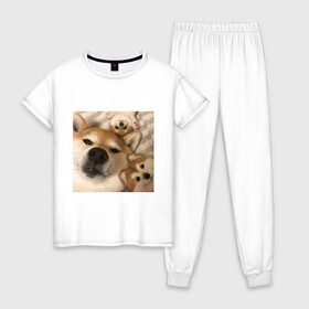 Женская пижама хлопок с принтом Мем про собак в Курске, 100% хлопок | брюки и футболка прямого кроя, без карманов, на брюках мягкая резинка на поясе и по низу штанин | белый | игрушки мягкие | мем | милый | прикол | сиба ину | собака