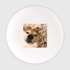Тарелка с принтом Мем про собак в Курске, фарфор | диаметр - 210 мм
диаметр для нанесения принта - 120 мм | Тематика изображения на принте: белый | игрушки мягкие | мем | милый | прикол | сиба ину | собака