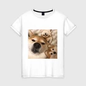 Женская футболка хлопок с принтом Мем про собак в Курске, 100% хлопок | прямой крой, круглый вырез горловины, длина до линии бедер, слегка спущенное плечо | Тематика изображения на принте: белый | игрушки мягкие | мем | милый | прикол | сиба ину | собака