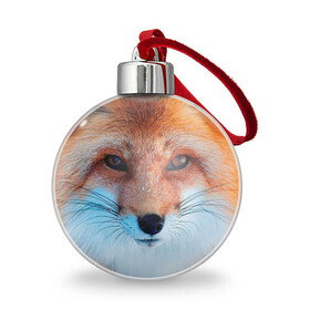 Ёлочный шар с принтом Мордочка лисы в Курске, Пластик | Диаметр: 77 мм | fox | foxy | животное | звери | лиса | лисенок | лисичка | милая | рыжая | фокс