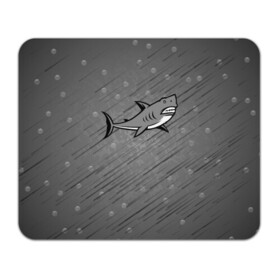 Коврик для мышки прямоугольный с принтом Акула в Курске, натуральный каучук | размер 230 х 185 мм; запечатка лицевой стороны | shark | акула | акулы | жители | клыки | море | морские | океан | рыба
