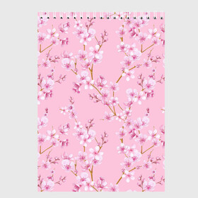 Скетчбук с принтом Цветущая розовая вишня в Курске, 100% бумага
 | 48 листов, плотность листов — 100 г/м2, плотность картонной обложки — 250 г/м2. Листы скреплены сверху удобной пружинной спиралью | Тематика изображения на принте: cherry blossom | sakura | азия | весна | ветки | вишня | для девушки | женский | милый | нежный | природа | розовый | сакура | цветение | цветочный принт | цветущая вишня | цветущие ветки | цветущий миндаль
