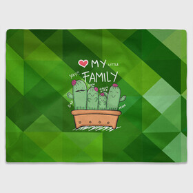 Плед 3D с принтом Милая семья кактусов в Курске, 100% полиэстер | закругленные углы, все края обработаны. Ткань не мнется и не растягивается | cactus | кактус | кактусы | милый | растение | цветок