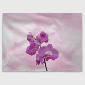 Плед 3D с принтом Нежная орхидея в Курске, 100% полиэстер | закругленные углы, все края обработаны. Ткань не мнется и не растягивается | Тематика изображения на принте: blossom | nature | orchid | женственность | красивые цветы | орхидеи | орхидея | фаленопсис