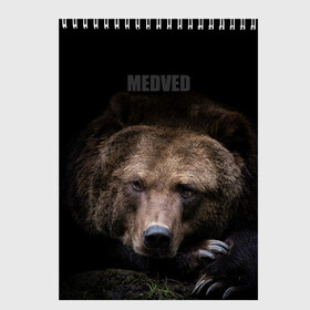 Скетчбук с принтом Русский MEDVED в Курске, 100% бумага
 | 48 листов, плотность листов — 100 г/м2, плотность картонной обложки — 250 г/м2. Листы скреплены сверху удобной пружинной спиралью | животные | звери | медведь | природа | русский медведь | черный