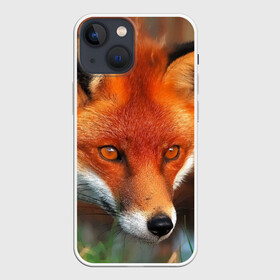 Чехол для iPhone 13 mini с принтом Лисица охотница в Курске,  |  | fox | foxy | животное | звери | лиса | лисенок | лисичка | милая | рыжая | фокс