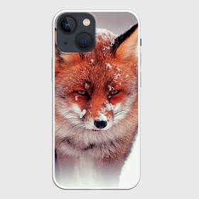 Чехол для iPhone 13 mini с принтом Лисица и снег в Курске,  |  | fox | foxy | животное | звери | лиса | лисенок | лисичка | милая | рыжая | фокс