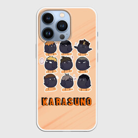 Чехол для iPhone 13 Pro с принтом Вороны школы Карасуно Haikyu в Курске,  |  | anime | haikyu | haikyuu | karasuno | manga | аниме | волейбол | волейбольный клуб | ворон | каге | карасуно | кей | куроо | манга | мяч | некома | сатори | сёё | тендо | тобио | хаику | хаикую | хайкью | хината | цукишима | шоё