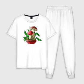 Мужская пижама хлопок с принтом Мой гриб в Курске, 100% хлопок | брюки и футболка прямого кроя, без карманов, на брюках мягкая резинка на поясе и по низу штанин
 | art | горшок | гриб | иллюстрация | мухомор