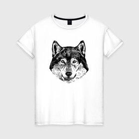 Женская футболка хлопок с принтом Голова волка в Курске, 100% хлопок | прямой крой, круглый вырез горловины, длина до линии бедер, слегка спущенное плечо | lone | predator | wolf | волк | волки | голова | животное | хищник