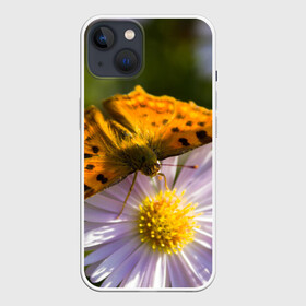 Чехол для iPhone 13 с принтом Бабочка и ромашка в Курске,  |  | бабочка | макро | насекомые | ромашка | цветы