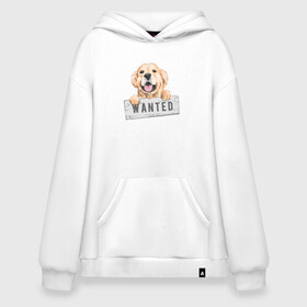 Худи SuperOversize хлопок с принтом Dog Wanted в Курске, 70% хлопок, 30% полиэстер, мягкий начес внутри | карман-кенгуру, эластичная резинка на манжетах и по нижней кромке, двухслойный капюшон
 | cute | dog | wanted | woof | гав | забавный | пес | песель | песик | смешной | собака | собачка | щенок