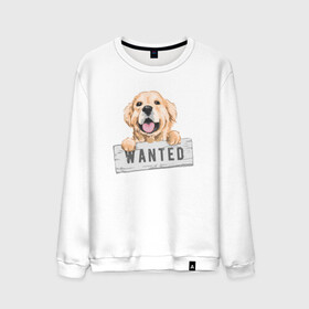 Мужской свитшот хлопок с принтом Dog Wanted в Курске, 100% хлопок |  | cute | dog | wanted | woof | гав | забавный | пес | песель | песик | смешной | собака | собачка | щенок