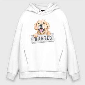 Мужское худи Oversize хлопок с принтом Dog Wanted в Курске, френч-терри — 70% хлопок, 30% полиэстер. Мягкий теплый начес внутри —100% хлопок | боковые карманы, эластичные манжеты и нижняя кромка, капюшон на магнитной кнопке | cute | dog | wanted | woof | гав | забавный | пес | песель | песик | смешной | собака | собачка | щенок