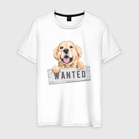 Мужская футболка хлопок с принтом Dog Wanted в Курске, 100% хлопок | прямой крой, круглый вырез горловины, длина до линии бедер, слегка спущенное плечо. | cute | dog | wanted | woof | гав | забавный | пес | песель | песик | смешной | собака | собачка | щенок