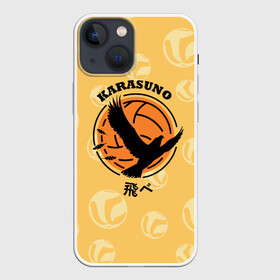 Чехол для iPhone 13 mini с принтом Старшая школа Карасуно Haikyu в Курске,  |  | anime | haikyu | haikyuu | karasuno | karasuno high | manga | аниме | волейбол | волейбольный клуб | ворон | вороны | карасуно | крылья | лого | логотип | манга | надпись | птица | старшая школа | хаику | хаикую