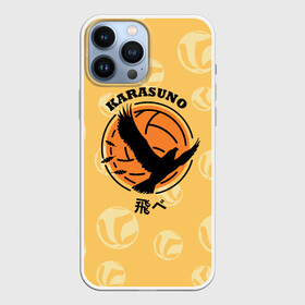 Чехол для iPhone 13 Pro Max с принтом Старшая школа Карасуно Haikyu в Курске,  |  | anime | haikyu | haikyuu | karasuno | karasuno high | manga | аниме | волейбол | волейбольный клуб | ворон | вороны | карасуно | крылья | лого | логотип | манга | надпись | птица | старшая школа | хаику | хаикую