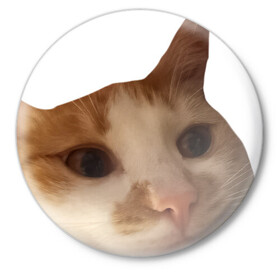 Значок с принтом The shusha What? в Курске,  металл | круглая форма, металлическая застежка в виде булавки | Тематика изображения на принте: cat | shusha | what | кошка | что