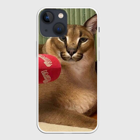 Чехол для iPhone 13 mini с принтом Шлёпа в Курске,  |  | Тематика изображения на принте: floppa | большой | военный | каракал | кот | преступник | русский | шлёпа