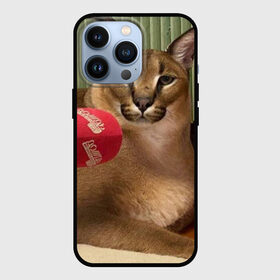 Чехол для iPhone 13 Pro с принтом Шлёпа в Курске,  |  | floppa | большой | военный | каракал | кот | преступник | русский | шлёпа