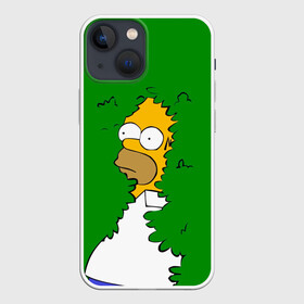 Чехол для iPhone 13 mini с принтом Мем с Гомером в Курске,  |  | gomer | mem | simpsons | the simpson | гомер | мем | мемы | мульт | мультфильм | симпсоны